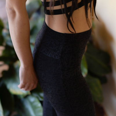 Wild-Flare Dark Grey Arabika