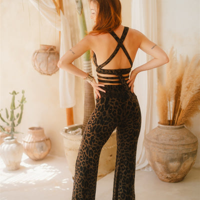 Wild-Flare & Panthera Top